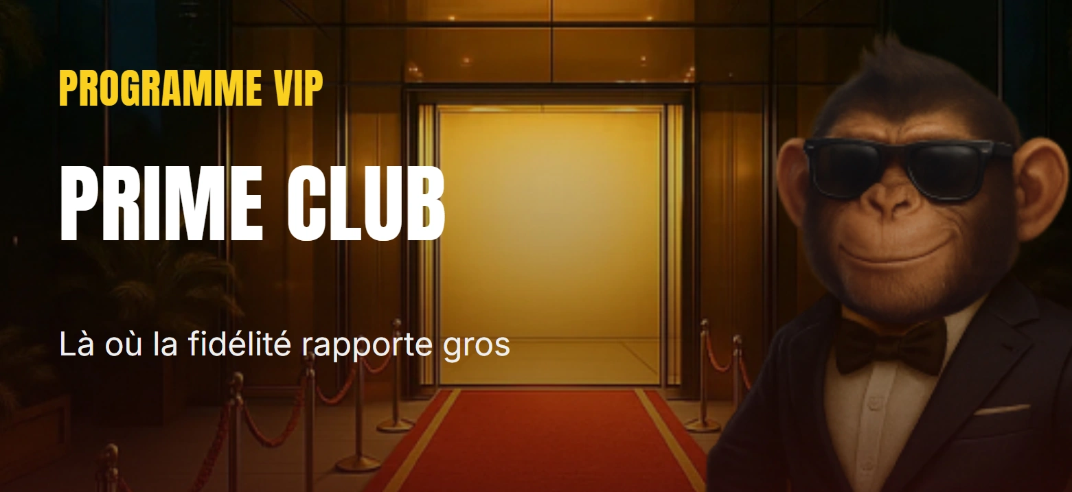 Slot Monkey Programme VIP